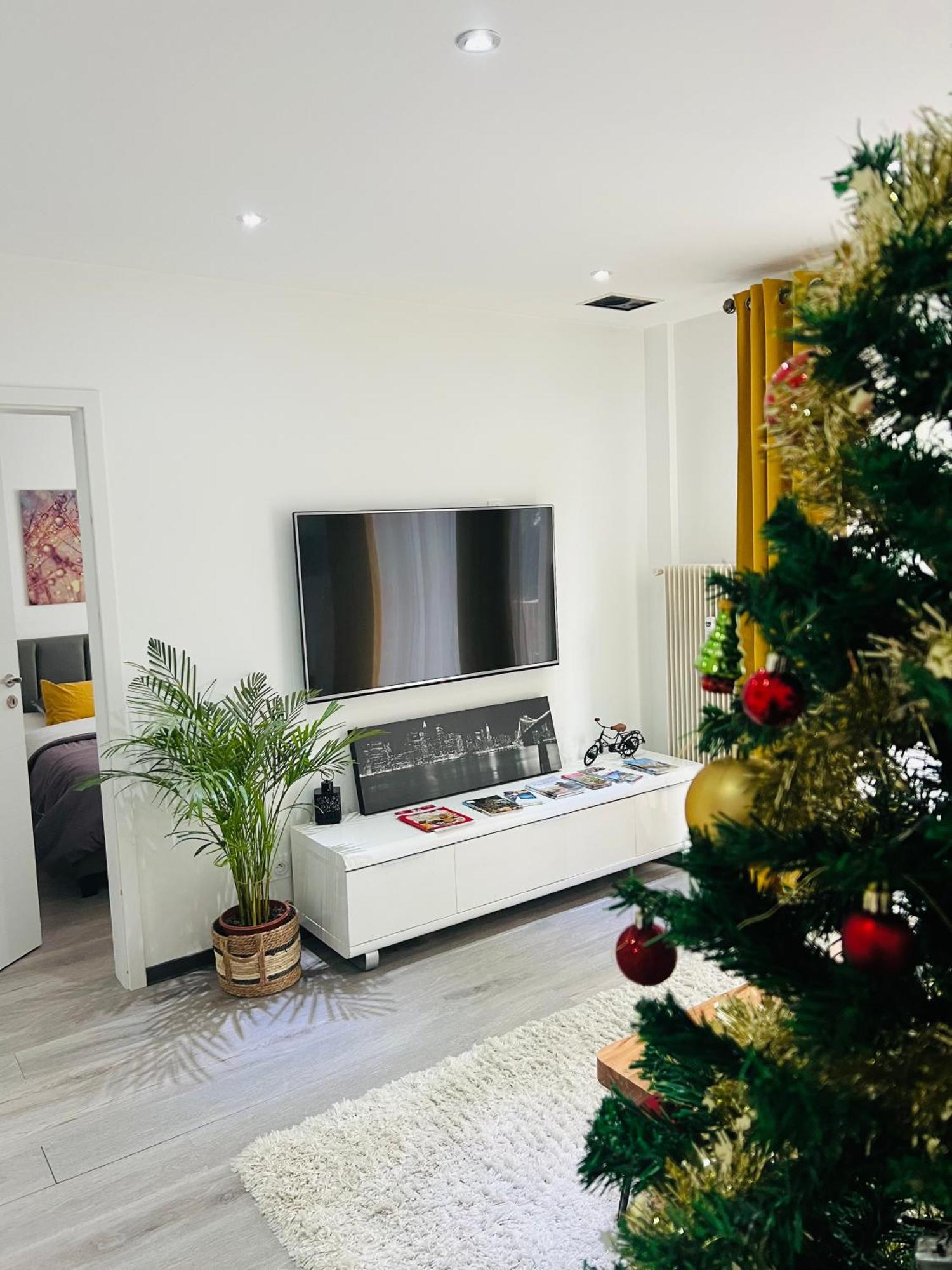 Superbe Appartement Lumineux Avec Parking Gratuit Винценайм Екстериор снимка